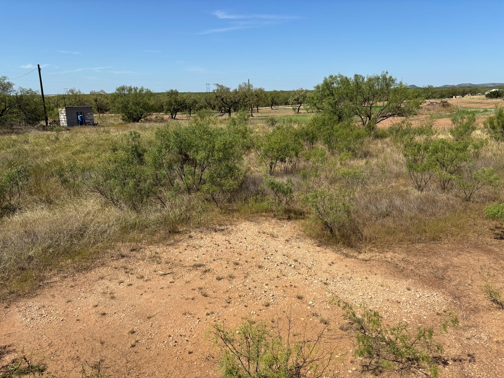 8886 Hooper Lane, Miles, Texas image 12