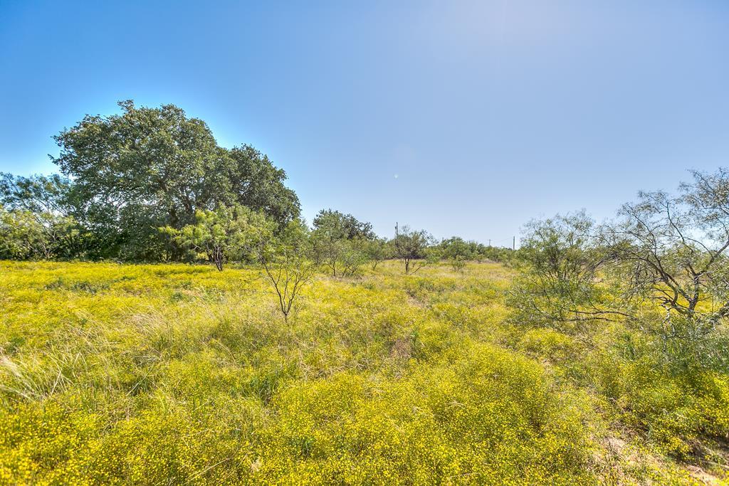 Hwy 84 #32 ACRES, Coleman, Texas image 2