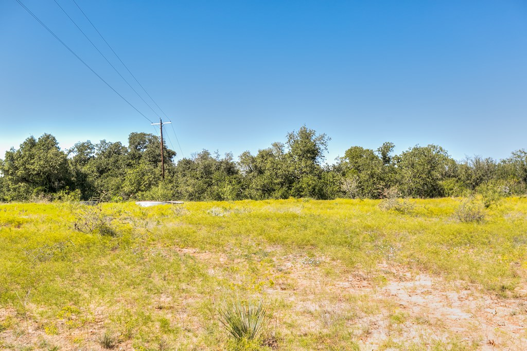 Hwy 84 #32 ACRES, Coleman, Texas image 6