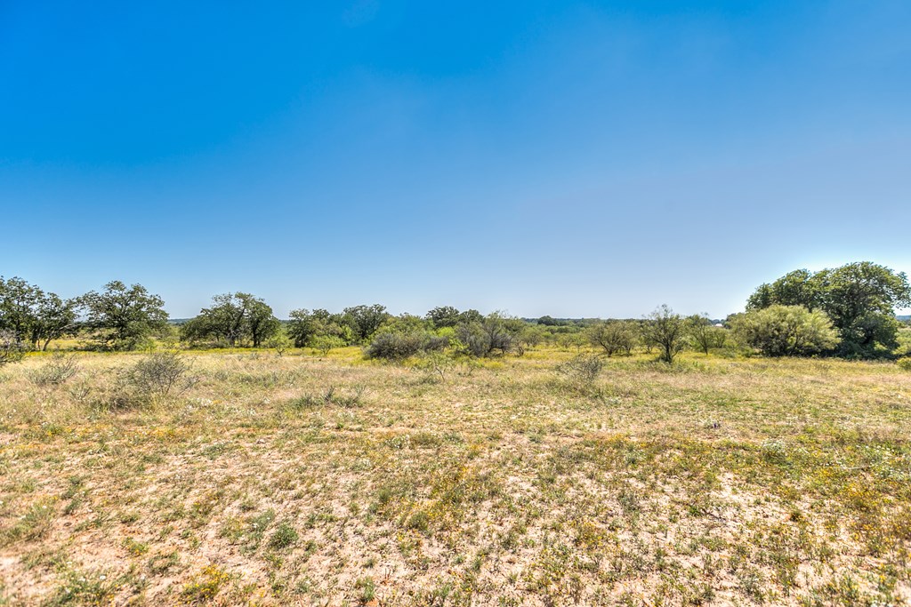 Hwy 84 #32 ACRES, Coleman, Texas image 17