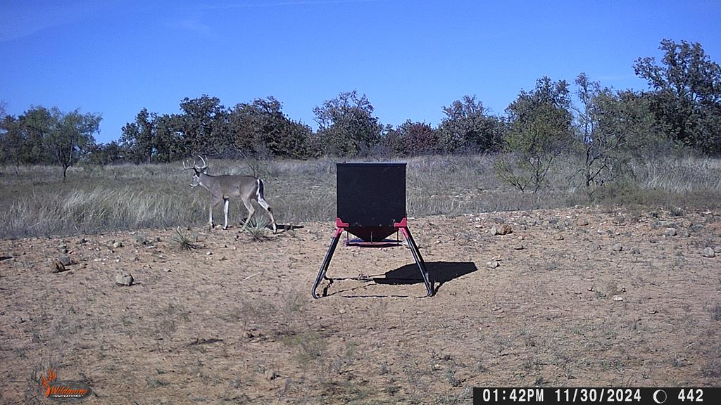 Hwy 84 #32 ACRES, Coleman, Texas image 23