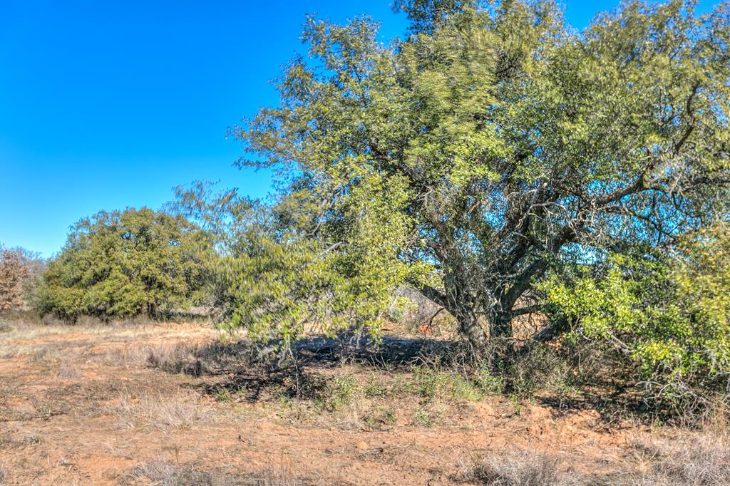 Hwy 84 #32 ACRES, Coleman, Texas image 12