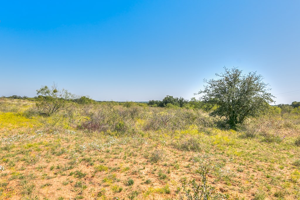 Hwy 84 #32 ACRES, Coleman, Texas image 8