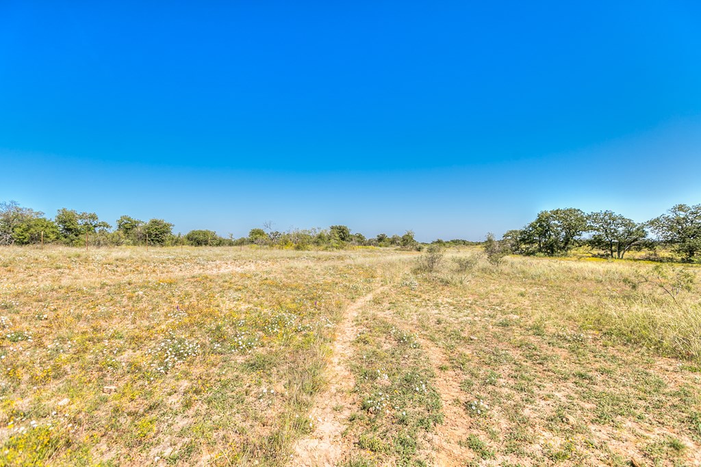 Hwy 84 #32 ACRES, Coleman, Texas image 16