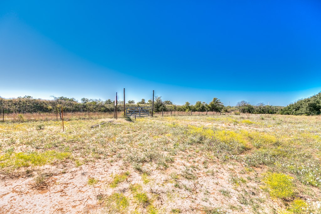 Hwy 84 #32 ACRES, Coleman, Texas image 3