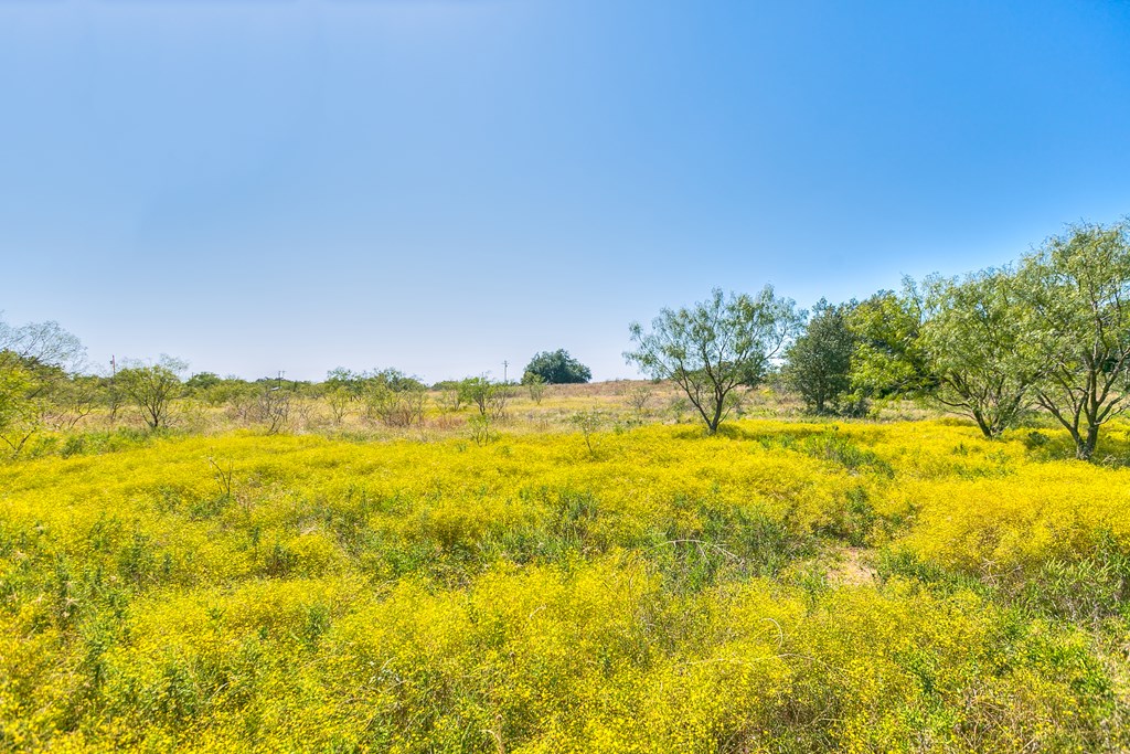 Hwy 84 #32 ACRES, Coleman, Texas image 14