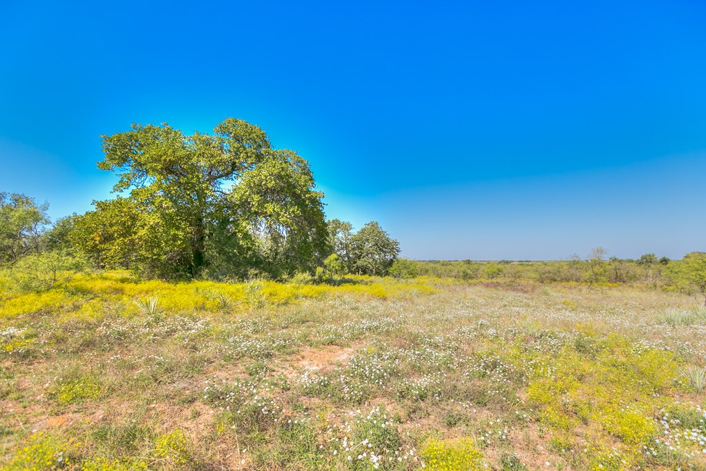 Hwy 84 #32 ACRES, Coleman, Texas image 19