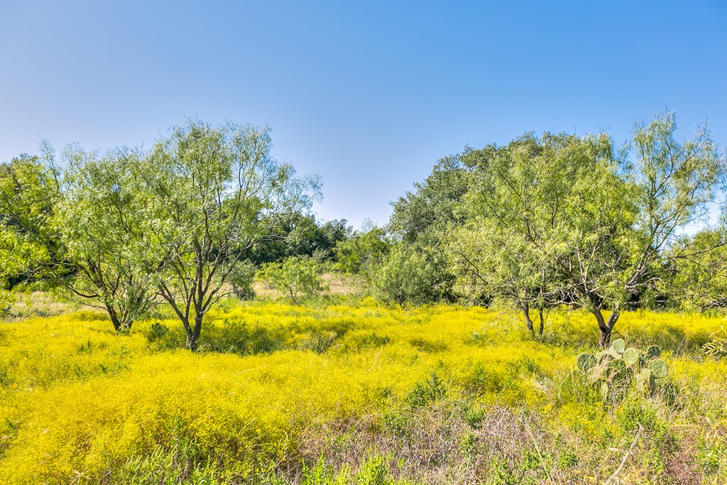 Hwy 84 #32 ACRES, Coleman, Texas image 13