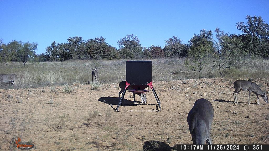 Hwy 84 #32 ACRES, Coleman, Texas image 22