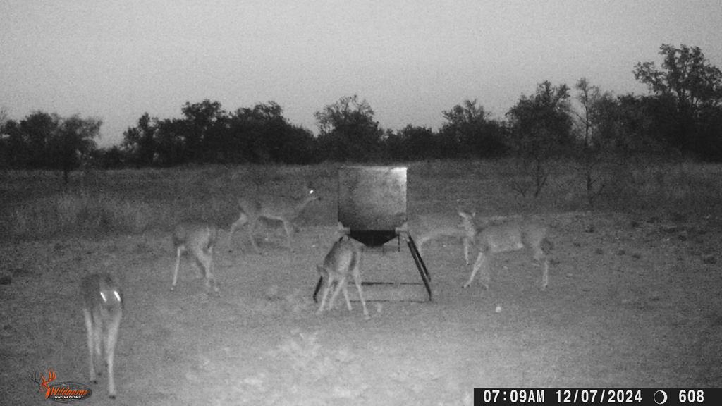 Hwy 84 #32 ACRES, Coleman, Texas image 26