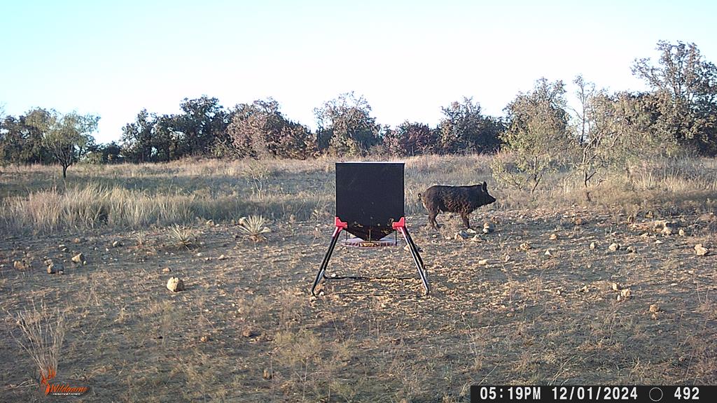 Hwy 84 #32 ACRES, Coleman, Texas image 24