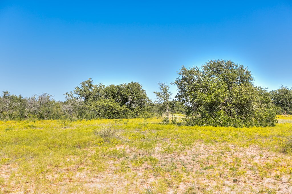 Hwy 84 #32 ACRES, Coleman, Texas image 5