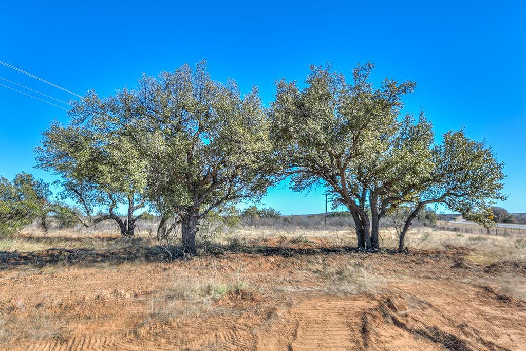 Hwy 84 #32 ACRES, Coleman, Texas image 1