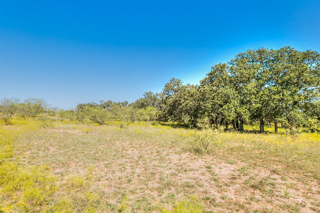 Hwy 84 #32 ACRES, Coleman, Texas image 15