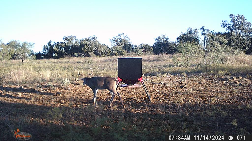 Hwy 84 #32 ACRES, Coleman, Texas image 21