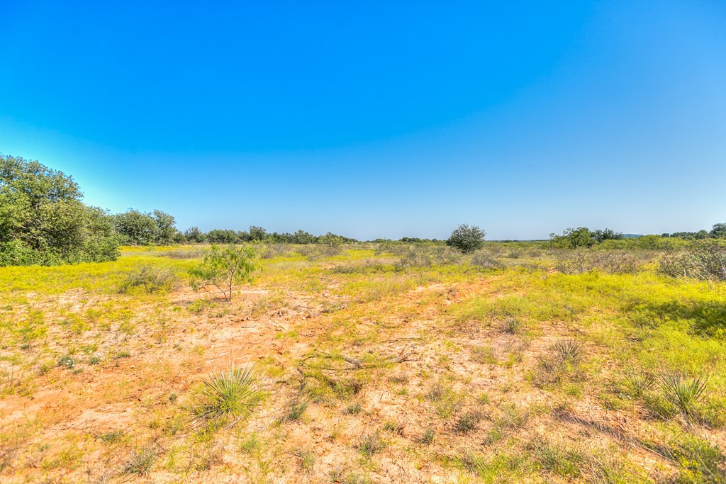 Hwy 84 #32 ACRES, Coleman, Texas image 4