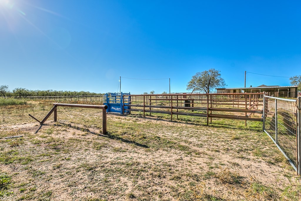 10189 Burma Loop, Carlsbad, Texas image 43