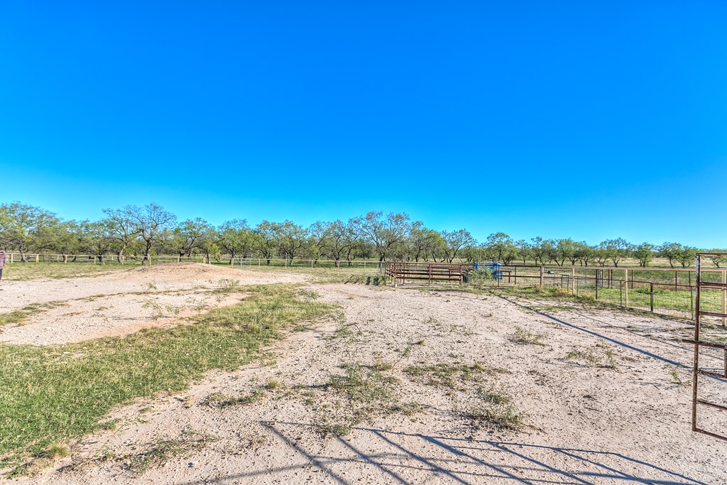 10189 Burma Loop, Carlsbad, Texas image 45