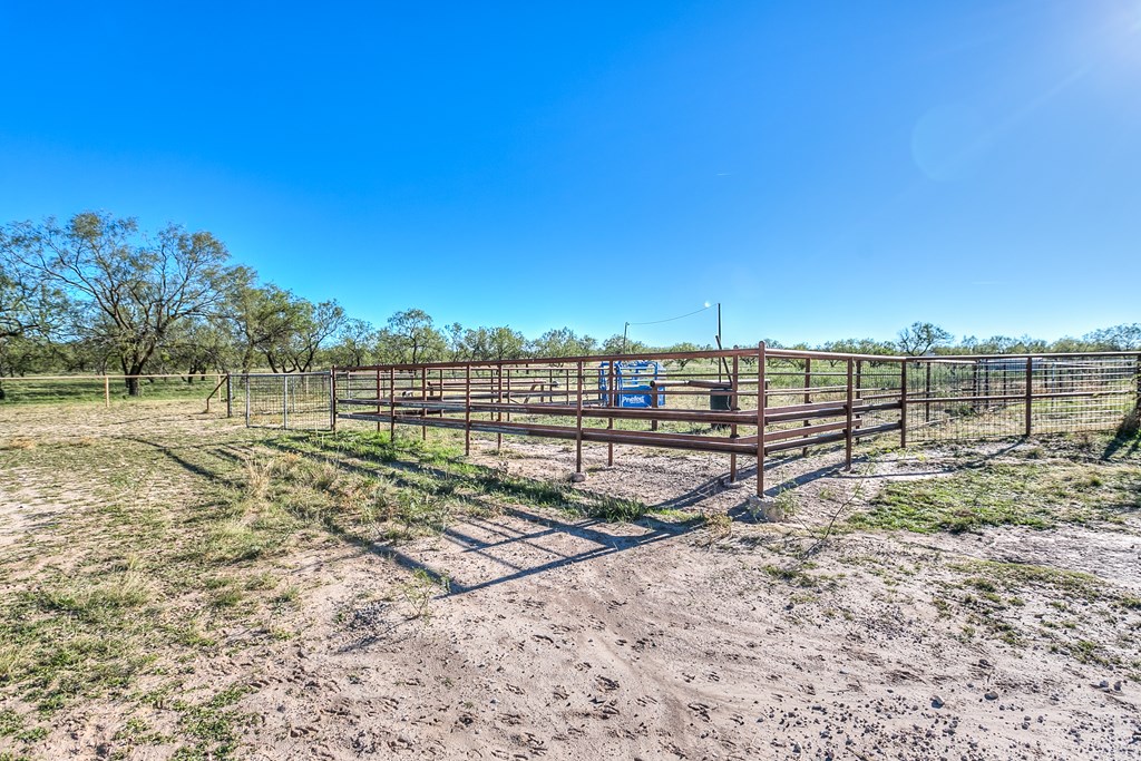 10189 Burma Loop, Carlsbad, Texas image 41