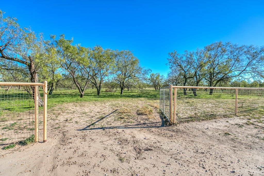 10189 Burma Loop, Carlsbad, Texas image 40