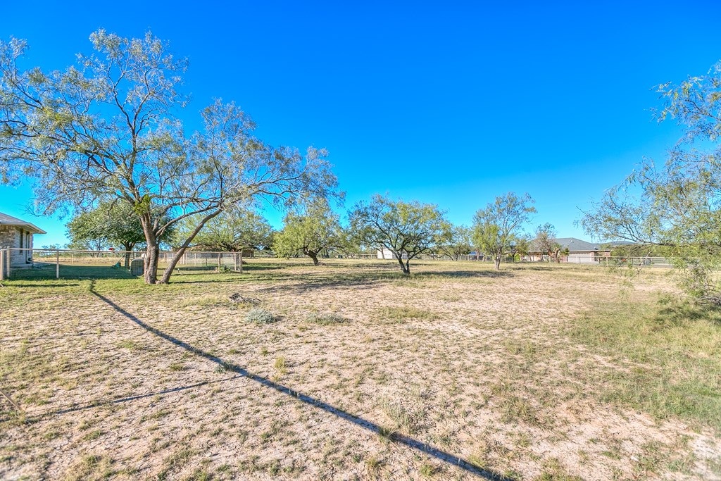 10189 Burma Loop, Carlsbad, Texas image 46