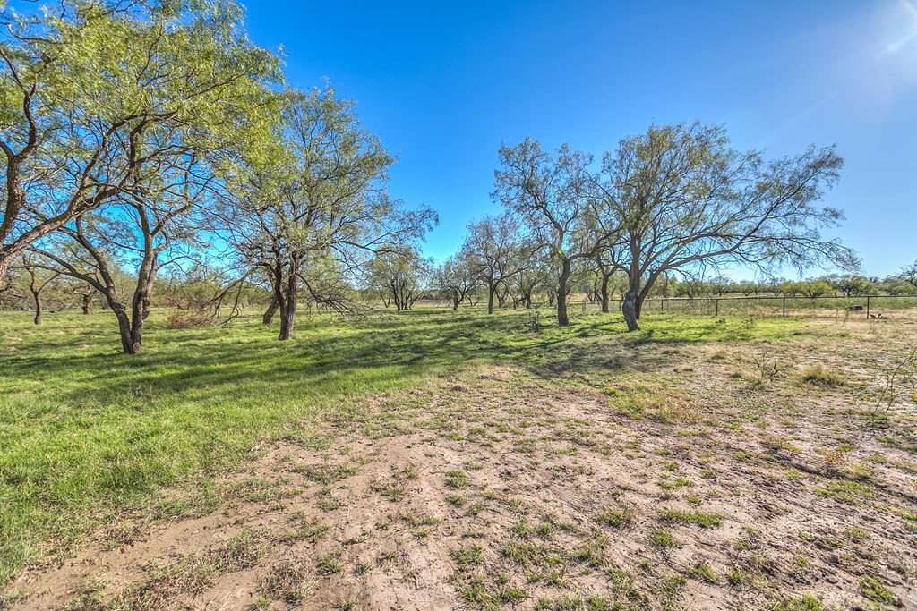 10189 Burma Loop, Carlsbad, Texas image 48