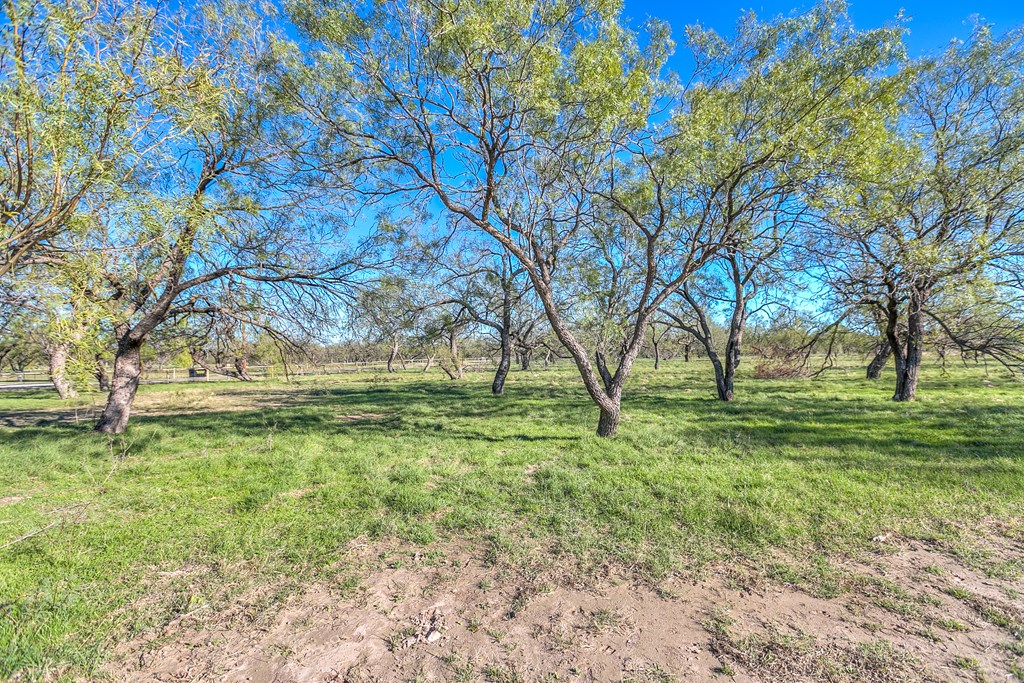 10189 Burma Loop, Carlsbad, Texas image 47