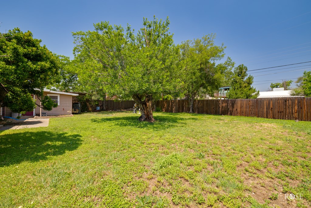 2408 W Ave L, San Angelo, Texas image 18