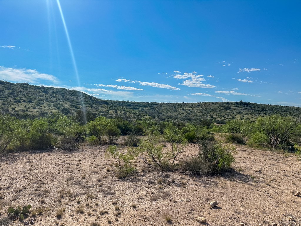 630 Arroyo Dr #6, Ozona, New Mexico image 21