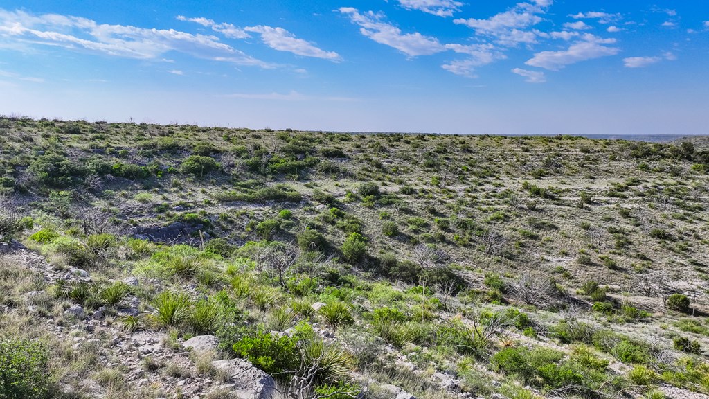 630 Arroyo Dr #6, Ozona, New Mexico image 18