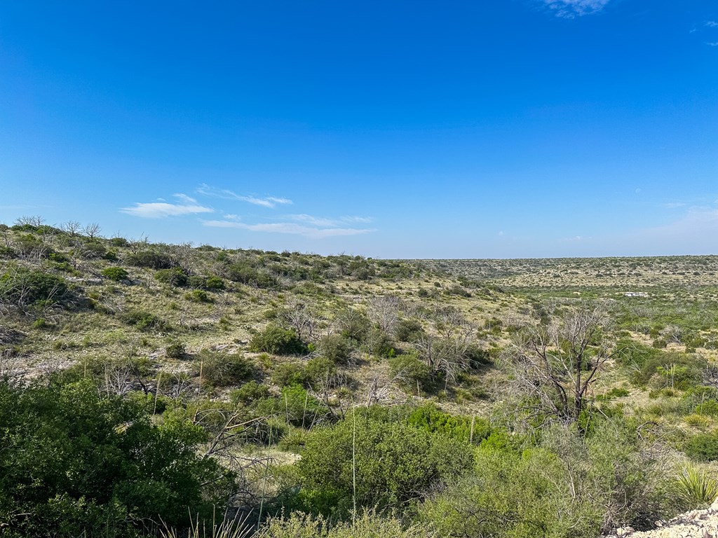 630 Arroyo Dr #6, Ozona, New Mexico image 20
