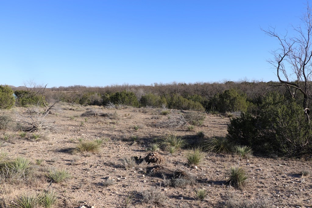 12834 Shin Oak Rd, Water Valley, Texas image 7