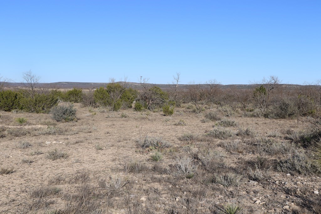 12834 Shin Oak Rd, Water Valley, Texas image 12