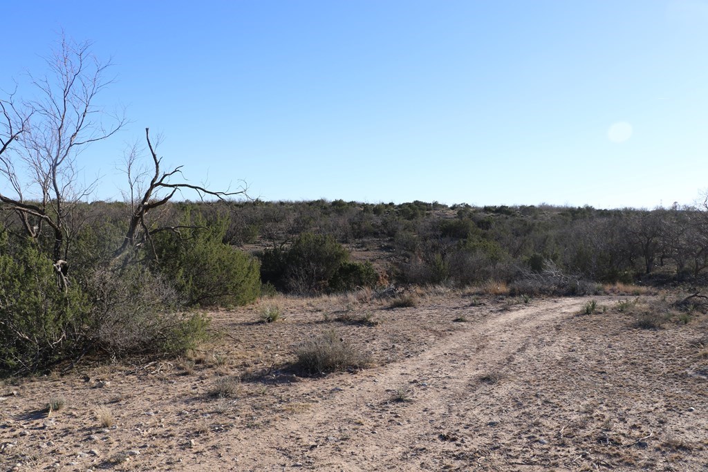 12834 Shin Oak Rd, Water Valley, Texas image 8