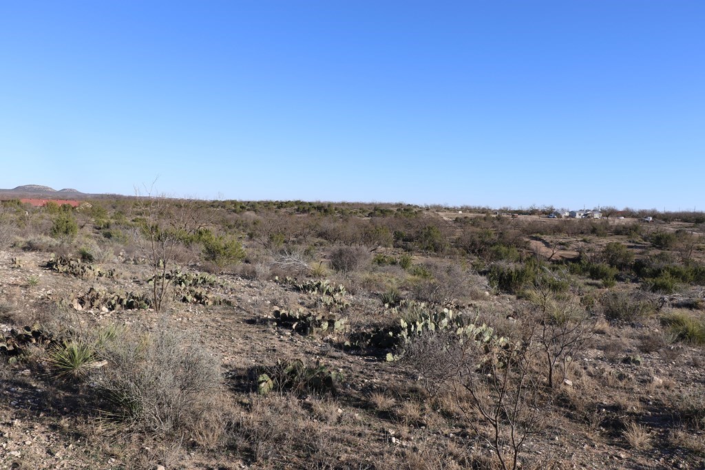 12834 Shin Oak Rd, Water Valley, Texas image 14
