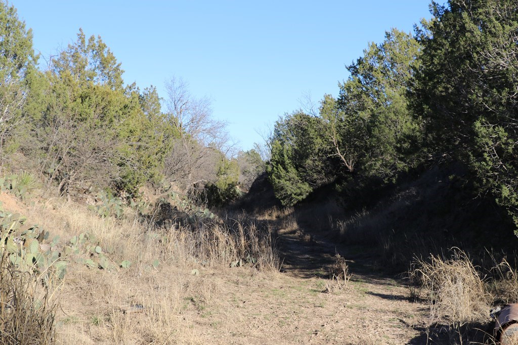 12834 Shin Oak Rd, Water Valley, Texas image 13