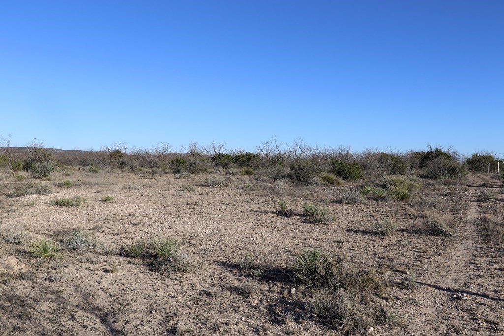 12834 Shin Oak Rd, Water Valley, Texas image 11