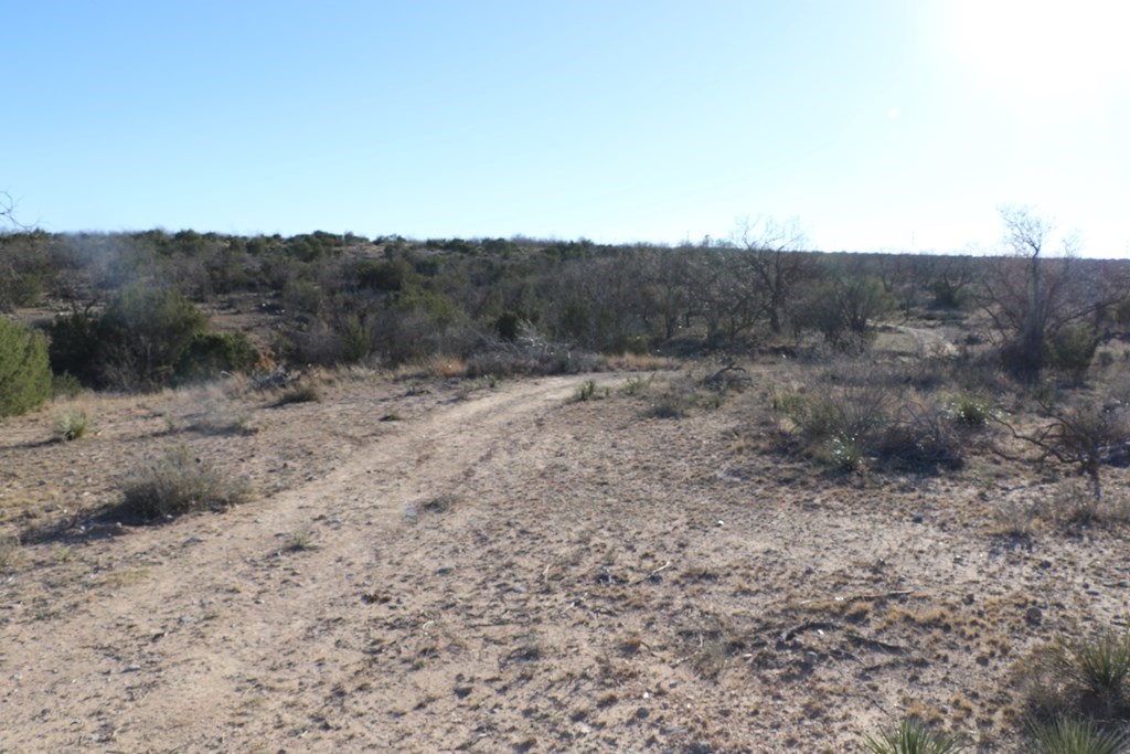 12834 Shin Oak Rd, Water Valley, Texas image 6
