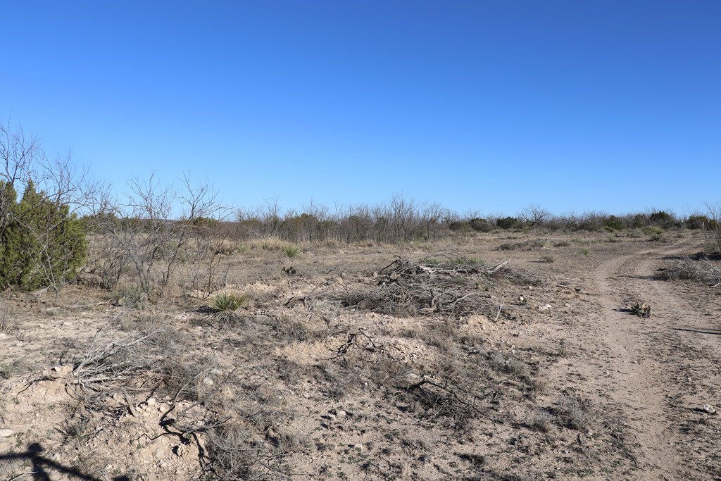 12834 Shin Oak Rd, Water Valley, Texas image 19