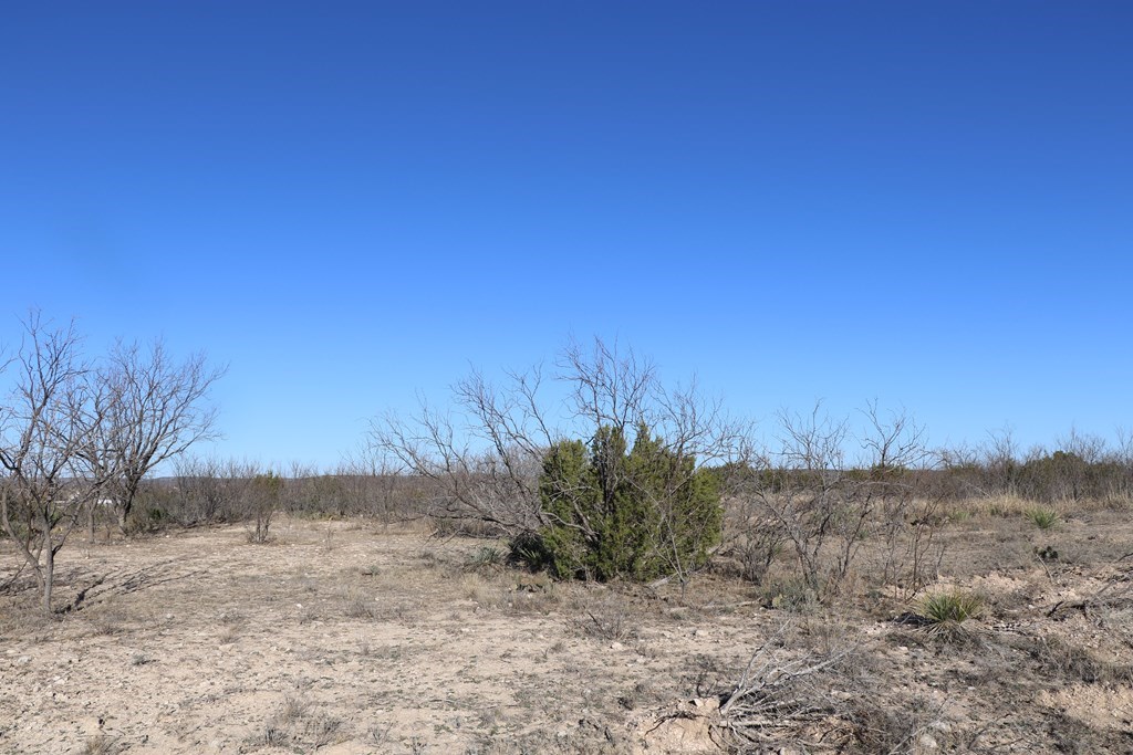 12834 Shin Oak Rd, Water Valley, Texas image 18