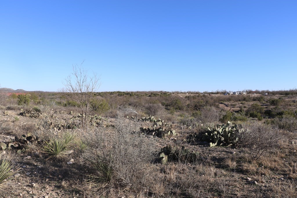 12834 Shin Oak Rd, Water Valley, Texas image 15