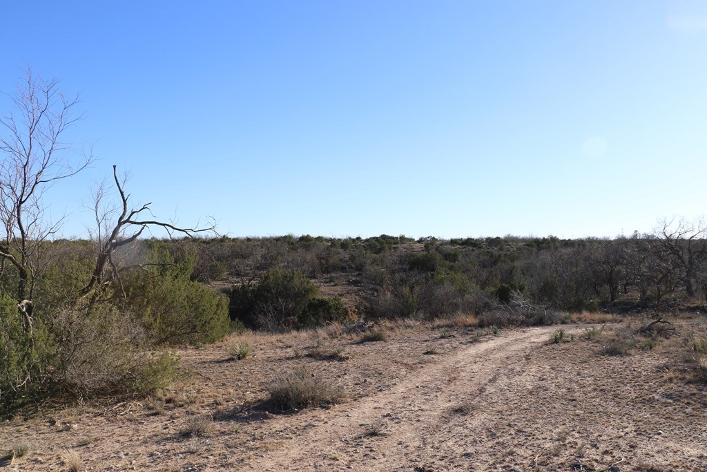 12834 Shin Oak Rd, Water Valley, Texas image 5