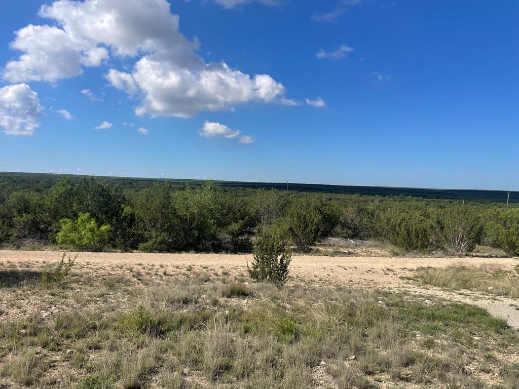 18900 Cherokee Ridge, Millersview, Texas image 28