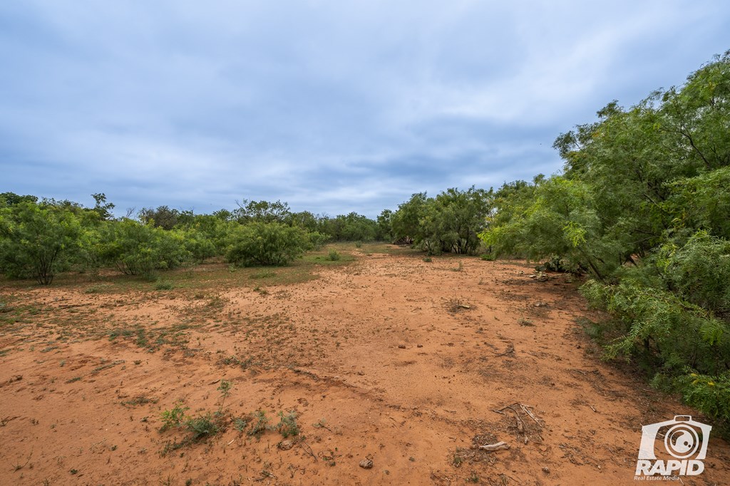 715 E Main St, Bronte, Texas image 36