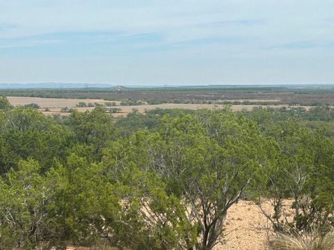 Vacant Land For Sale - TBD Fm 2333<br/> Coke County, Bronte, TX 76933