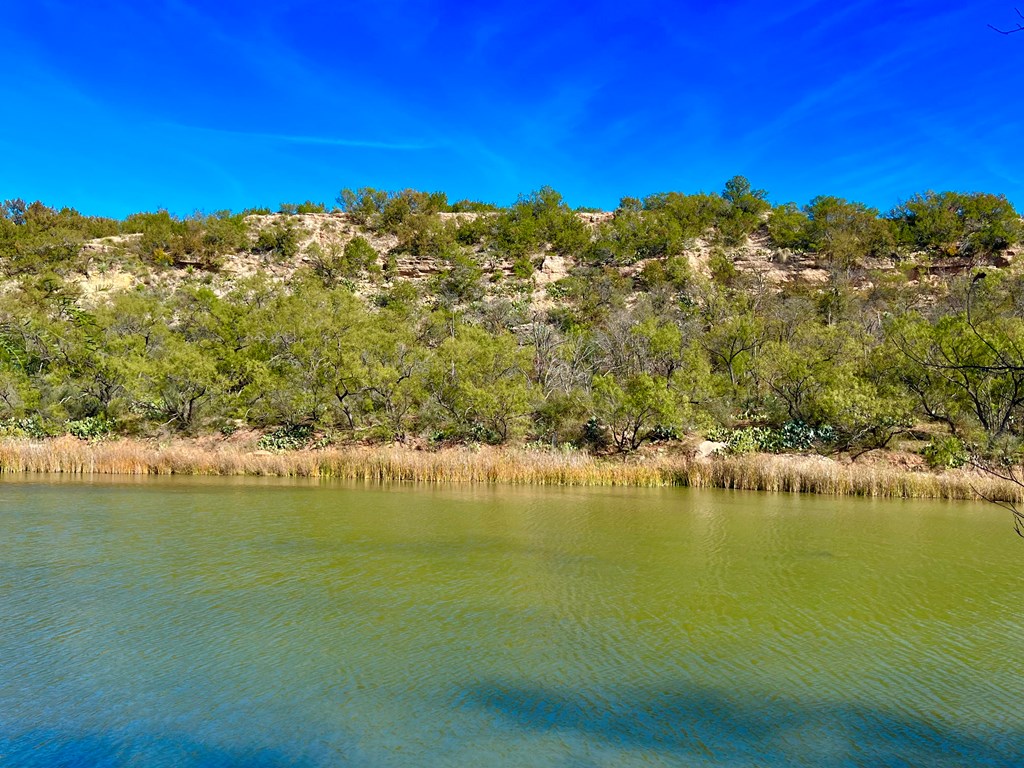 Land, Coleman, Texas image 3