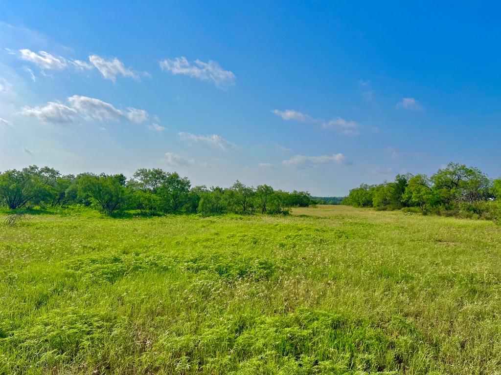 Land, Coleman, Texas image 16