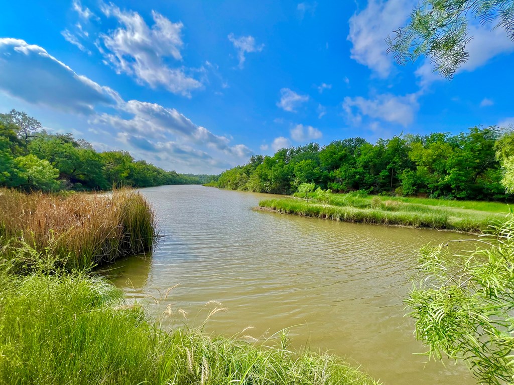 Land, Coleman, Texas image 4