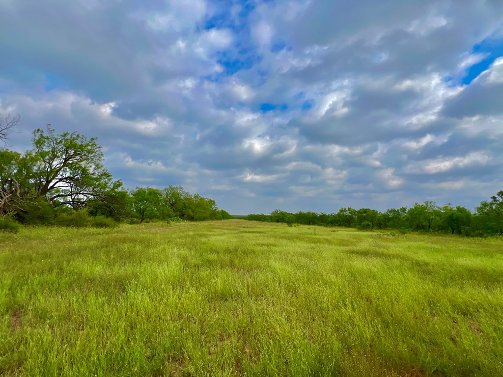 Land, Coleman, Texas image 13