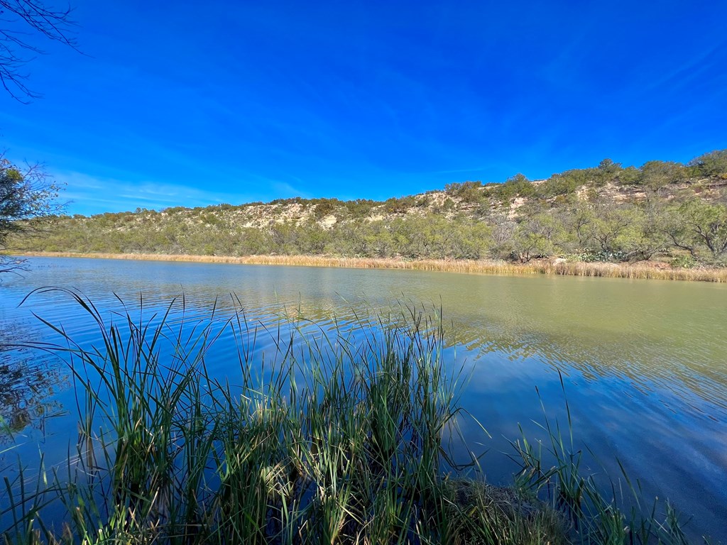 Land, Coleman, Texas image 5